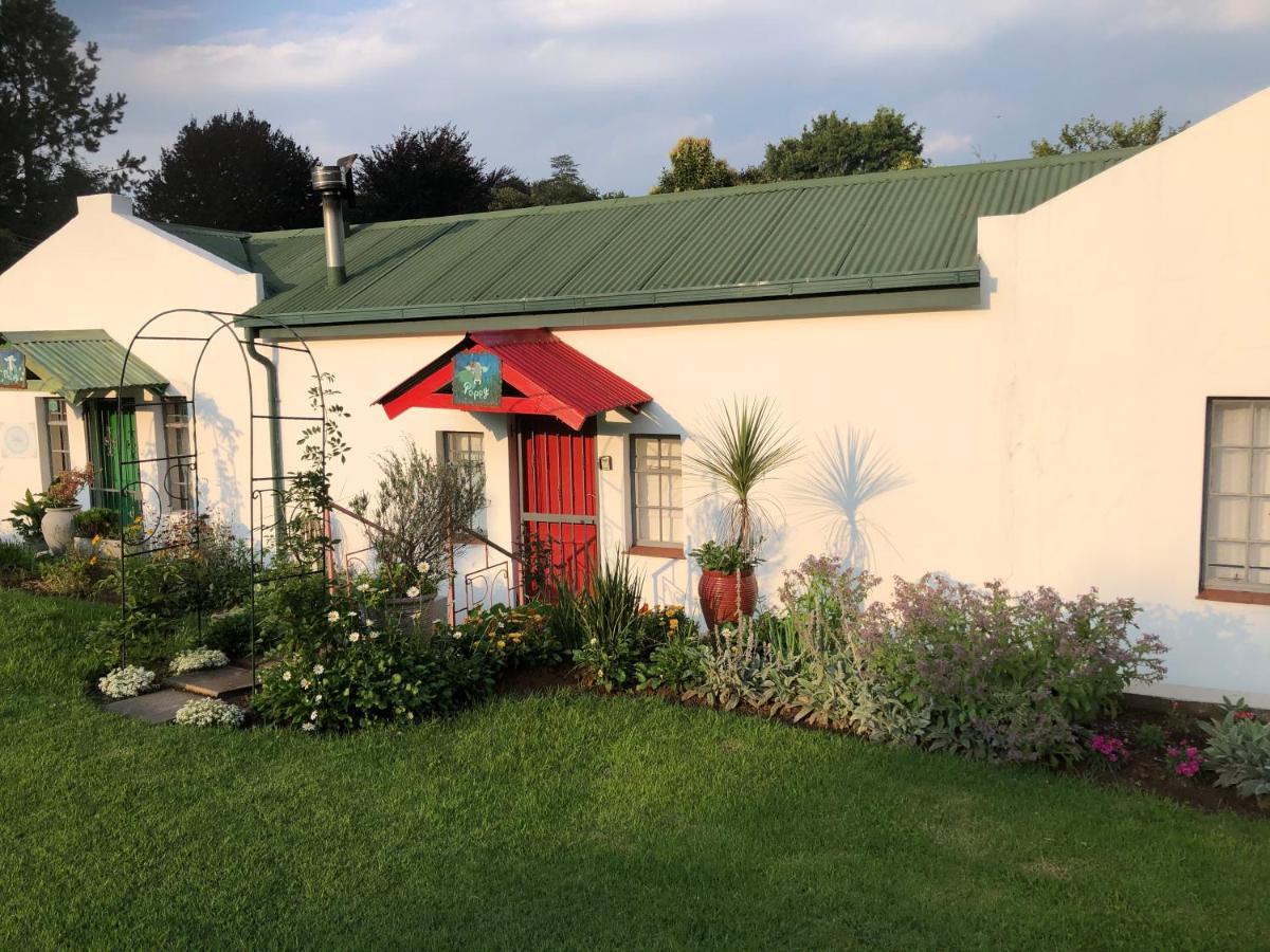 Peace Corner Cottages Dullstroom Kültér fotó